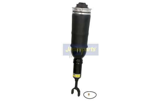 Pneumatic strut