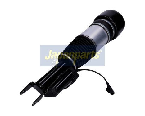 Pneumatic strut, Image 2