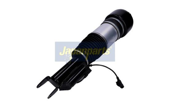 Pneumatic strut, Image 2