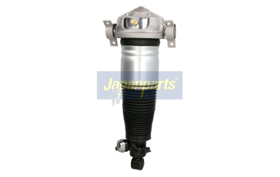 Pneumatic strut