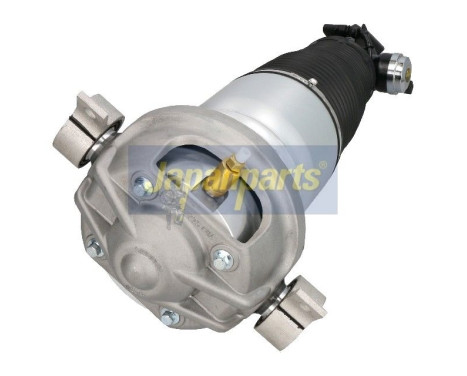 Pneumatic strut, Image 2