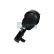 Pneumatic strut