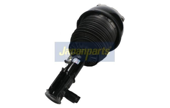 Pneumatic strut