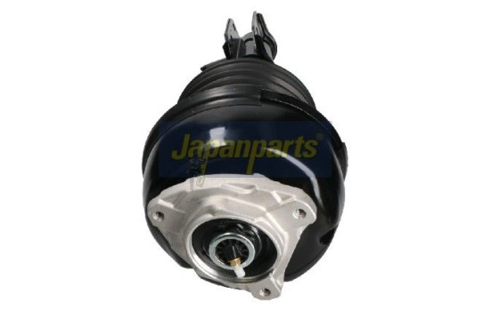 Pneumatic strut, Image 2