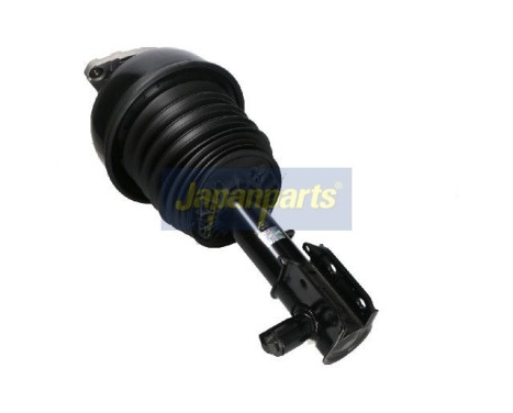 Pneumatic strut, Image 2