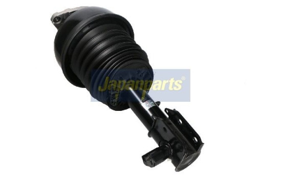 Pneumatic strut, Image 2