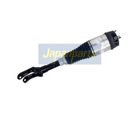 Pneumatic strut, Image 2