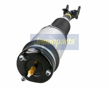 Pneumatic strut, Image 3