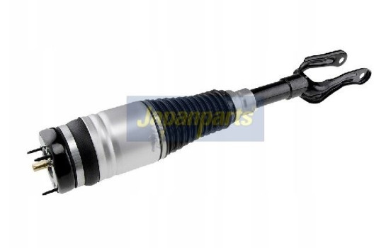Pneumatic strut, Image 2