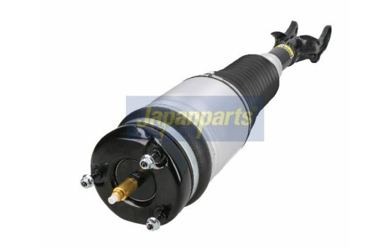Pneumatic strut, Image 3