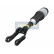 Pneumatic strut, Thumbnail 4
