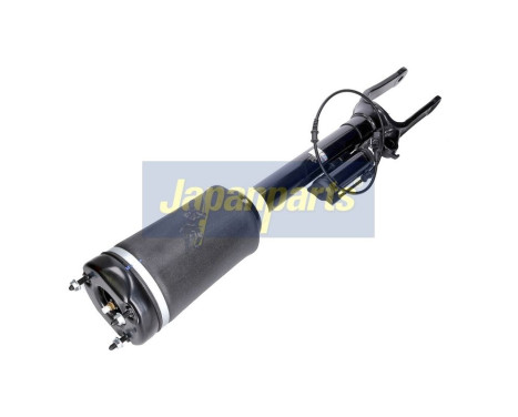 Pneumatic strut, Image 2