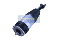 Pneumatic strut