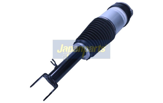 Pneumatic strut, Image 2