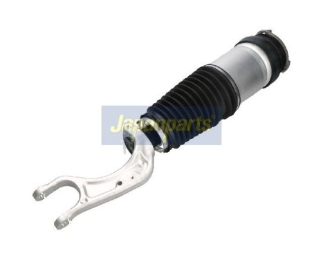 Pneumatic strut