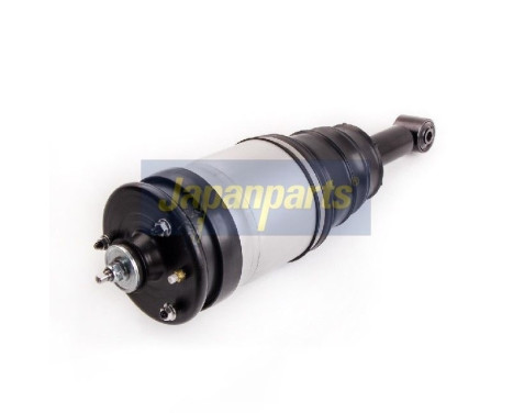 Pneumatic strut, Image 2