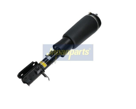 Pneumatic strut, Image 2