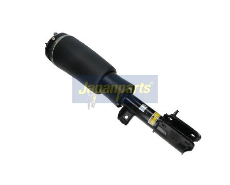 Pneumatic strut, Image 3