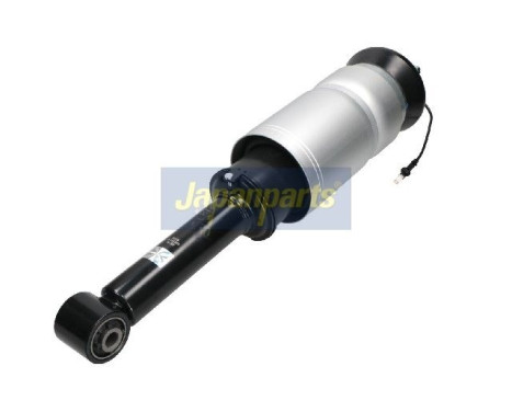 Pneumatic strut