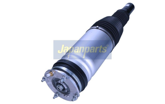Pneumatic strut