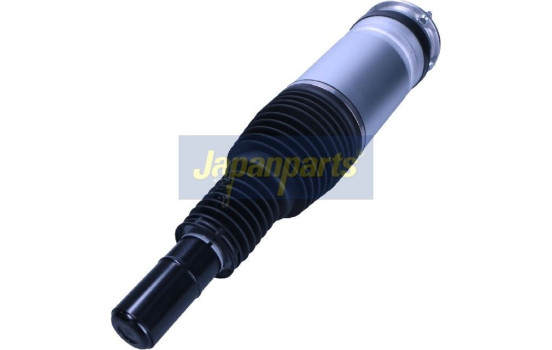Pneumatic strut, Image 2