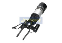 Pneumatic strut