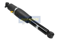 Pneumatic strut