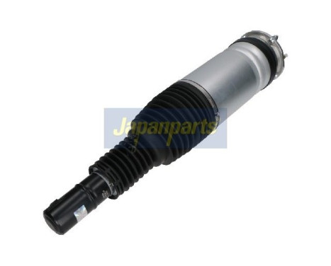 Pneumatic strut