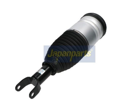 Pneumatic strut