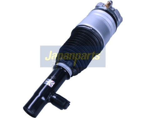 Pneumatic strut, Image 2