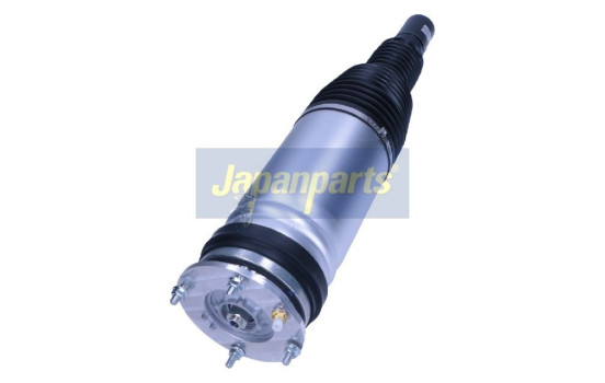 Pneumatic strut