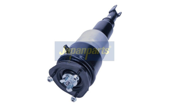 Pneumatic strut