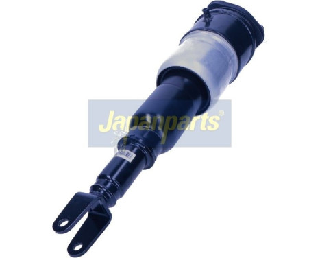 Pneumatic strut, Image 2