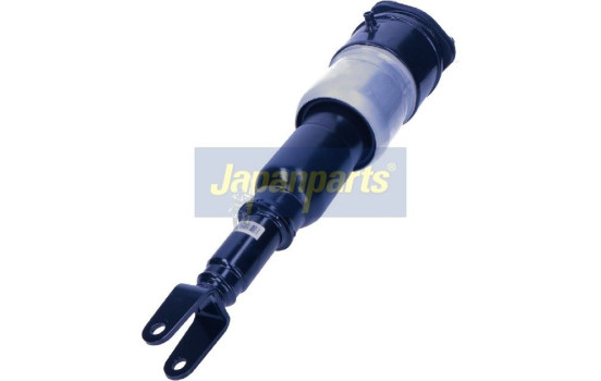 Pneumatic strut, Image 2