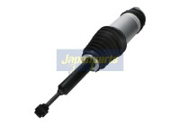 Pneumatic strut