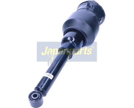 Pneumatic strut, Image 2