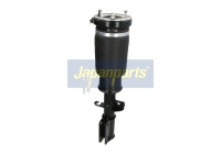 Pneumatic strut