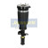 Pneumatic strut, Thumbnail 2