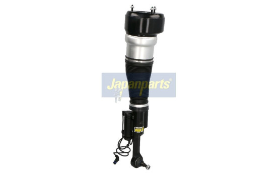 Pneumatic strut