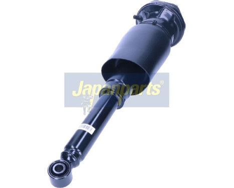 Pneumatic strut, Image 2