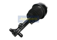 Pneumatic strut