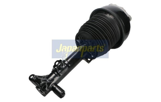 Pneumatic strut