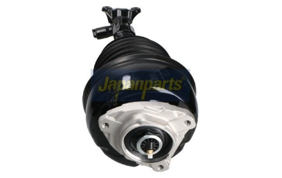 Pneumatic strut, Image 2