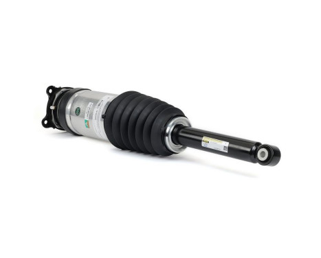 Pneumatic strut, Image 2