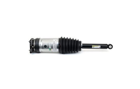 Pneumatic strut, Image 4