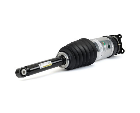 Pneumatic strut, Image 2