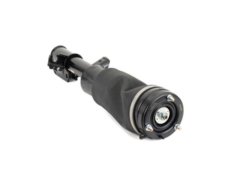 Pneumatic strut, Image 2