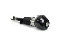 Pneumatic strut