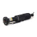 Pneumatic strut, Thumbnail 2