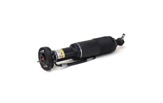 Pneumatic strut, Image 2
